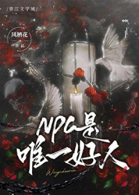 NPCΨһ