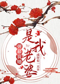 ��Ļ˵����������