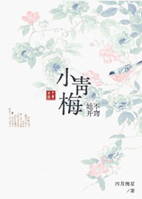 С��÷��������