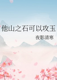 ��ɽ֮ʯ���Թ���