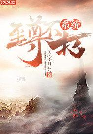 ������ϵͳ