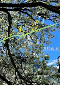 С�滨��У԰h&amp;amp;nbsp;&amp;amp;nbsp;1V1��